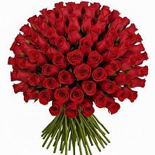Букет Красные розы Чери Лав #REPLACE_PRED# Мелеузе